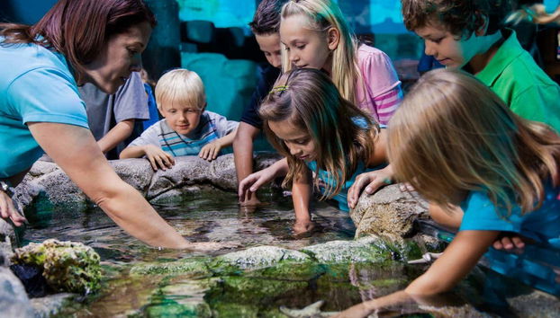 Go City: Orlando Explorer Pass - Foto 4