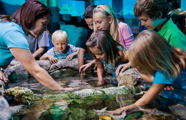 Go City Orlando Explorer Pass - Photo 6