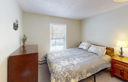 Chandler Hill Base Camp - Enjoy A Nature Getaway in this Rustic Home in the Mountains, 10 minutes from Sunday River Ski Mountain! home - Foto 55