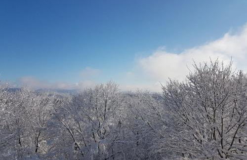 Ferienwohnung Kathi - Foto 22