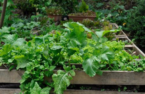 Refúgio Guest House - Foto 39