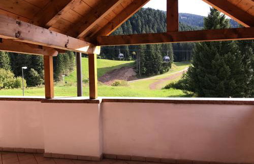 Appartamenti Rì de la Clama Andalo, Barbara - Foto 52