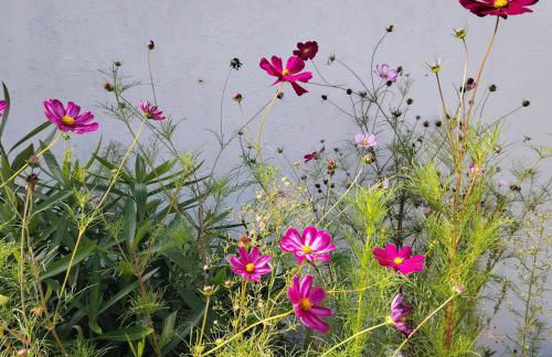 PETIT STUDIO DAnS UN JARDIN - Foto 7