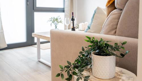 Mediterraneum Apto E - Foto 5