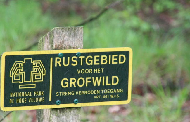 Home in the Dancing Forest - Foto 20