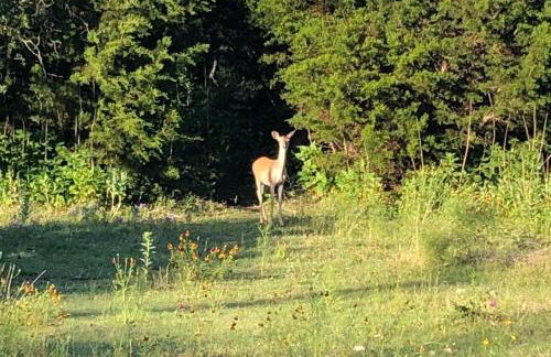 Perfect Country-Side Get-Away - Photo 25