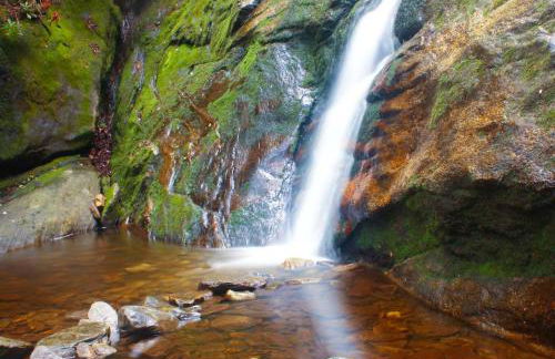 ShortLong Stays Welcome! Hot tub, Dog Friendly! - Foto 39