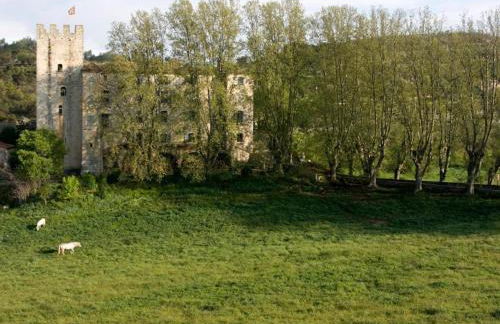 Château d'Esparron - Foto 6