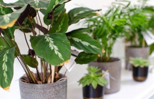 2 Bed in Edgefield oc-2140 - Photo 18