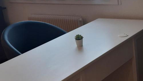 LE PHENIX à internet haut débit & parking - Foto 5