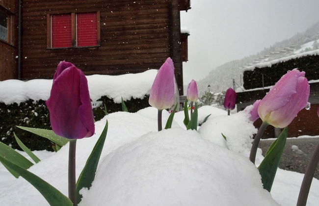 LuxLax 2. OG Süd - Foto 54