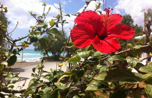 Mini Villas Green - Foto 76