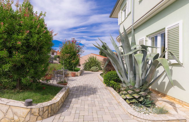 Salamander - Foto 31