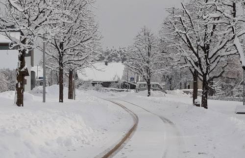 App. Tamanhof - Photo 16