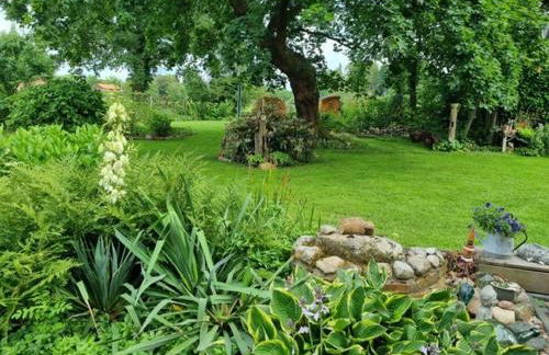 Landhaus Westerloy - Foto 72