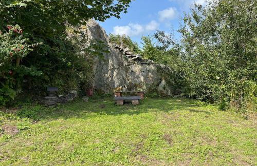 Bryn Rhedyn cottage - Foto 4