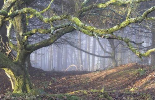 Cosy Parbold Apartment Steps form train station - Foto 36
