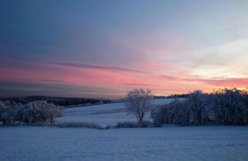 Old Forge Modern Retreat - Foto 75