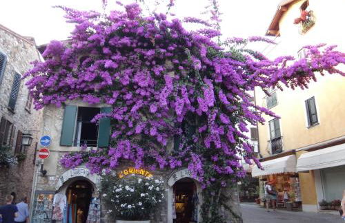 Alma Garda Home - Foto 51