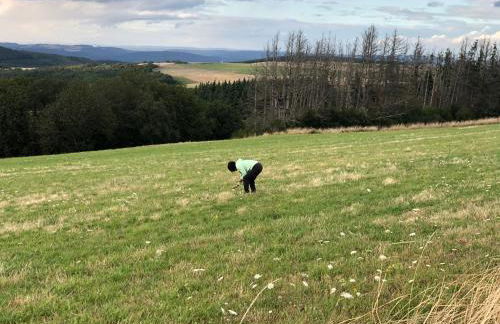 Pellinger-Hof - Foto 34