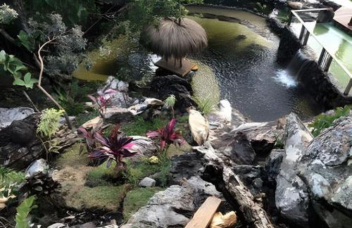 Sítio Piscina natural, Trilha e Cachoeira - Foto 50