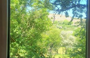 Cwt Cen y Coed - Foto 12
