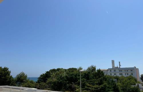 Aurora e Alba - Foto 17