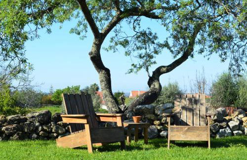 Quinta do Tio Viagem - Foto 93