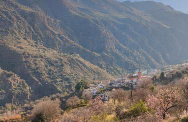 Casa Violeta - Foto 3