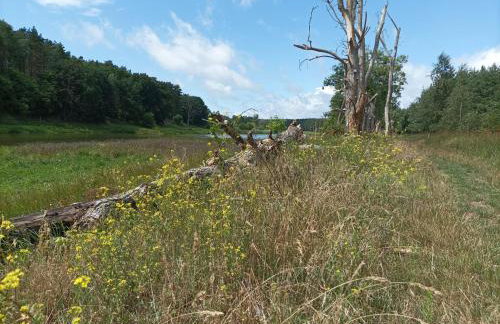 Domek nad Wartą - Foto 24
