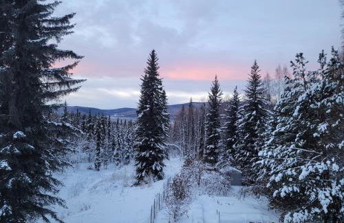 Aurora Ridge Retreat 2BR Near UAF - Foto 18