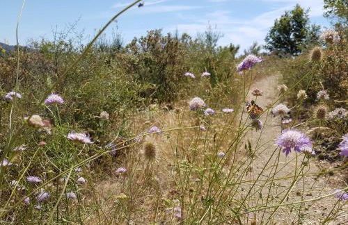 Ferienhaus in Vasia Imperia für bis zu 4 Personen - Foto 59