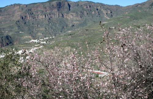 Villa Deluxe Suites Maspalomas - Photo 53