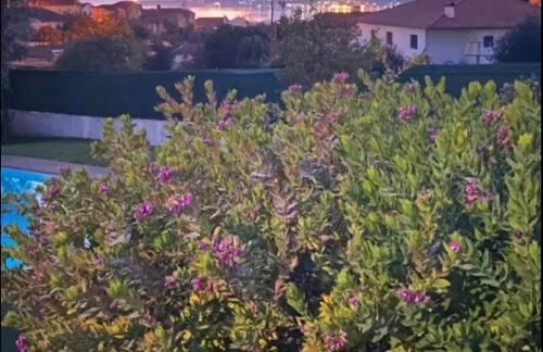 Casa do Vale - Moradia-Rio Minho-Seixas-Caminha - Casa de férias completa com piscina - Foto 63