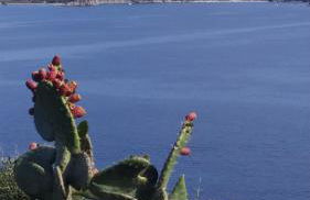 La Casetta - Foto 34