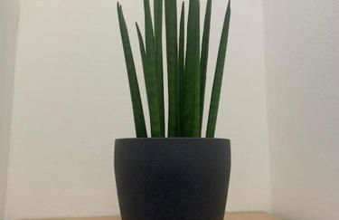 Nibu Appartamenti - Appartamento centrale comodo a tutto, anche a Villa Chiara - Foto 15