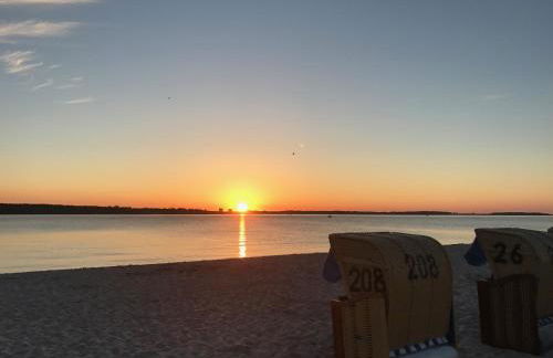 Meeresbrise - Foto 20