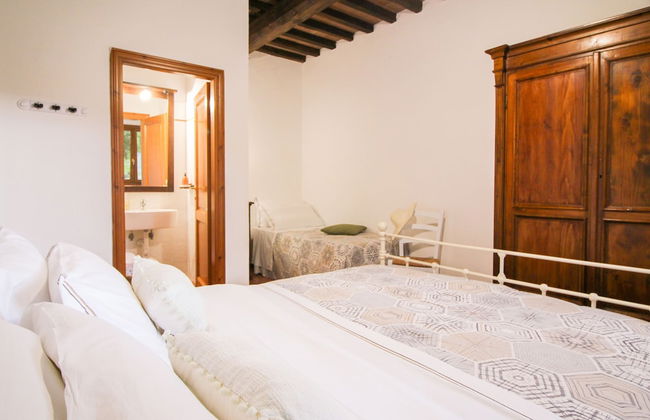 Boschi di Montecalvi - Foto 35