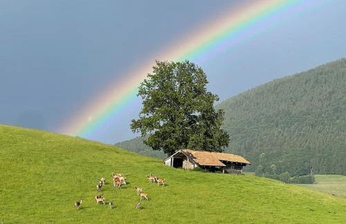 Traumhaus sensationeller Lage Traumhafter Bergblick absolute Ruhe - Foto 14