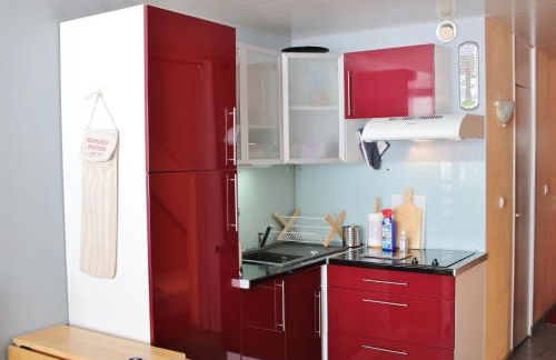 Studio pied de pistes avec place de parking privé extérieure LA MONGIE TOURMALET - Pic du midi - Foto 8