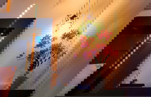 Aloha Sunzal - Foto 15