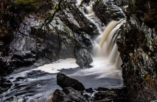 The Sheriffs Lodge - Photo 74