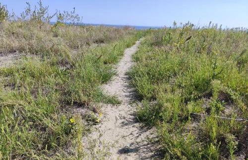 Casa Maria by Holiday World - Photo 17