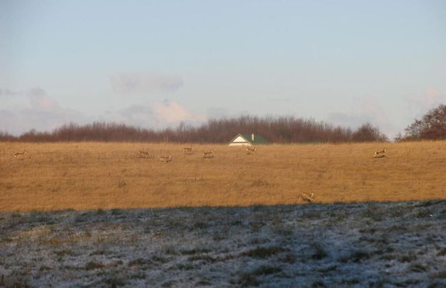 Agroturystyka u przyjaciol Soni - Foto 25