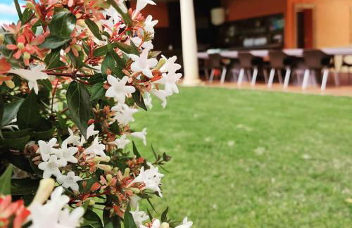 El cerro de cabañeros - Foto 13