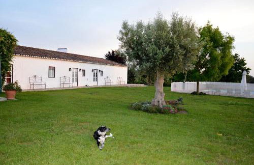 Monte da Boavista - Country family house - Foto 22