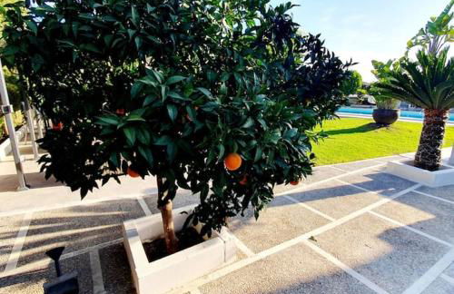 Espectacular villa close to Sevilla - Sevillarooms - Foto 48