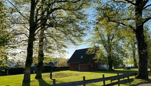 Wieckblick Krummin 17b - Foto 1, Garden view