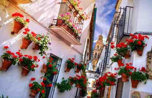 Apartamento con jardín y piscina en Córdoba - Photo 19