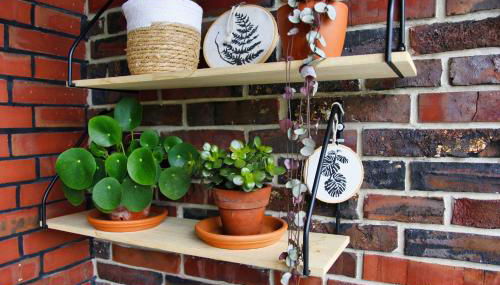 Ferienwohnung Heijenga, 45223 - Foto 5